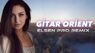 Elsen Pro - Gitar Orient | 2023 Resimi