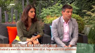 Video thumbnail of "Aradszky: ˝Harangozó Teri titkolja, hol ápolják˝ - 2015.08.25. - tv2.hu/mokka"