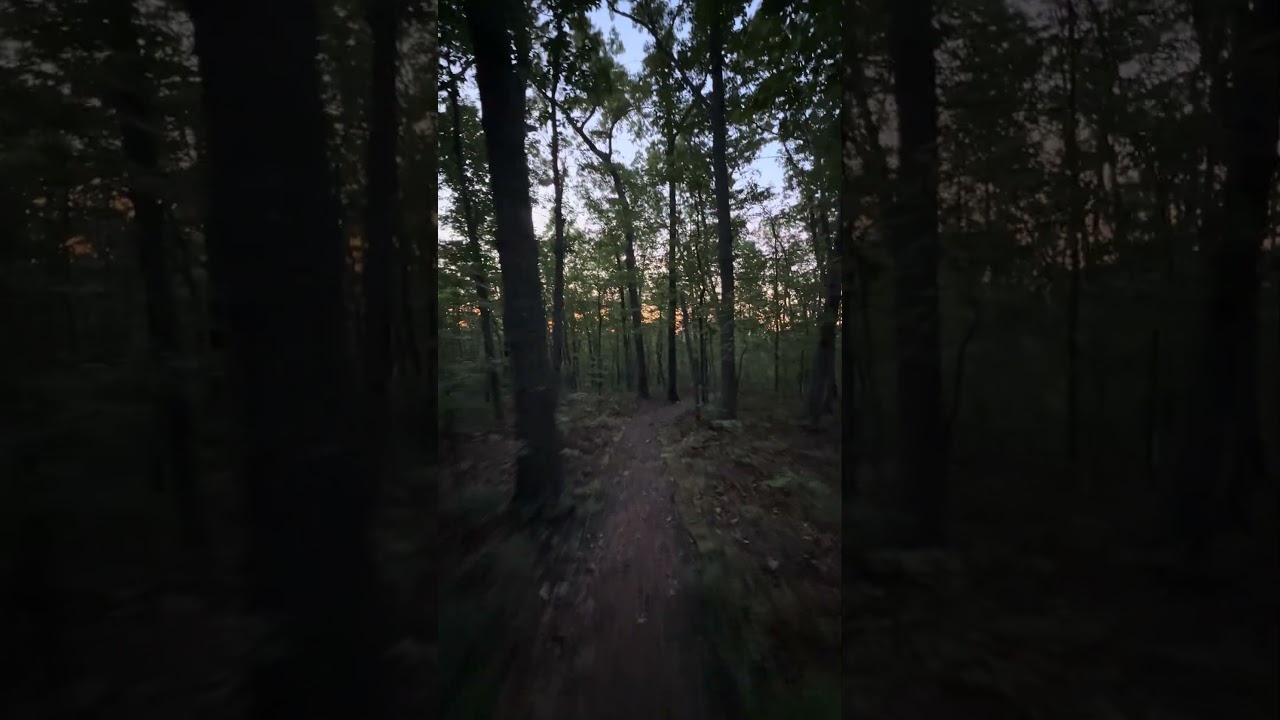 BIRD on Furnace Mountain Trail | Grottoes, VA