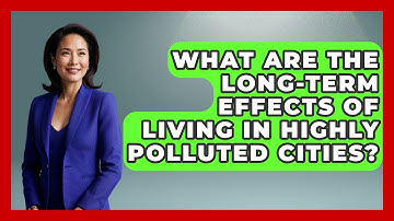 What Are the Long-Term Effects of Living in Highly Polluted Cities? - Earth Science Answers