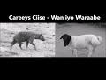 Somali Gabay - Careeys Ciise Kaarshe - Wan iyo Waraabe