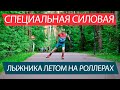 Специальная силовая лыжника летом на лыжероллерах.