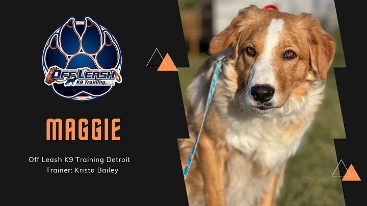 Mixed Breed Maggie | Naughty Puppy to Obedient Pup...