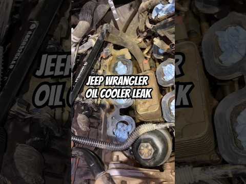 Jeep Wrangler Oil Cooler Leak #mechanic #automobile #diy #howto #repair #funnyvideos #jeeplife #jeep