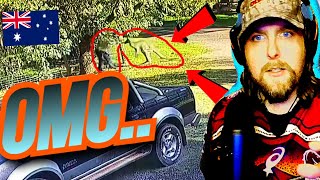 This Man Just Had to Fight Off a Big Kangaroo!!