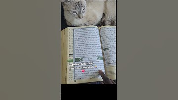 خواندن سوره کهف در روزهای جمعه هفته شما را روشن می کند! #فوک #ویدئو_اسلامی
