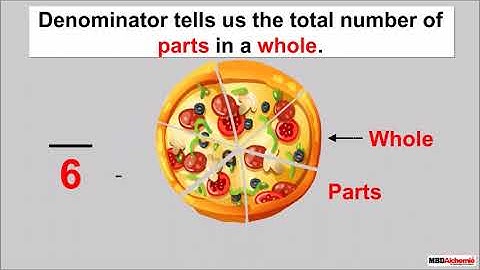 Halves and Quarters | Fractions | Math | Class 4