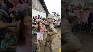 Beautiful girl in ping ping clothes gets fucked by a lumping horse‼️Benjang art blossoms culture