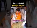 外に愛猫そっくりな猫がいると思ったら...?