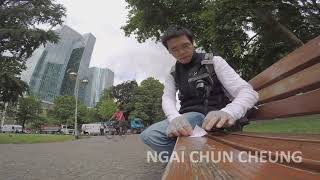 Origami Crane 01738 on 20150721 part 016 via Frankfurt