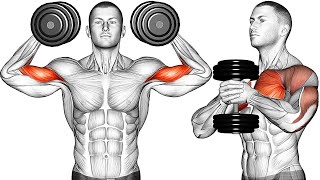 10 BEST DUMBBELL EXERCISES  - Workout Animation