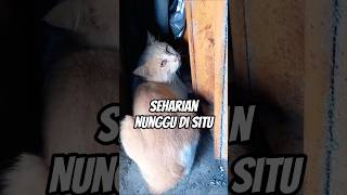 Been Waiting There Since This Afternoon