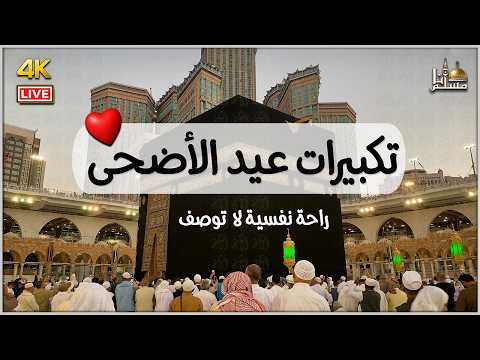بث مباشر  تكبيرات عيد الأضحى المبارك 2026 بصوت جميل  لنجعلها تملأ الدنيا الله أكبر الله أكبر