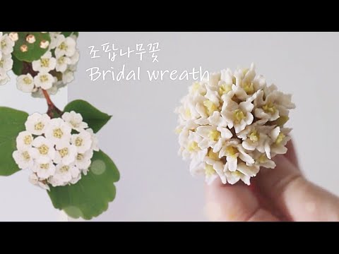 조팝나무꽃 앙금플라워 꽃짜기 bridal wreath flower piping