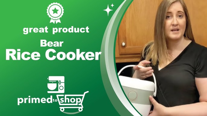 Bear Mini Rice Cooker Review 