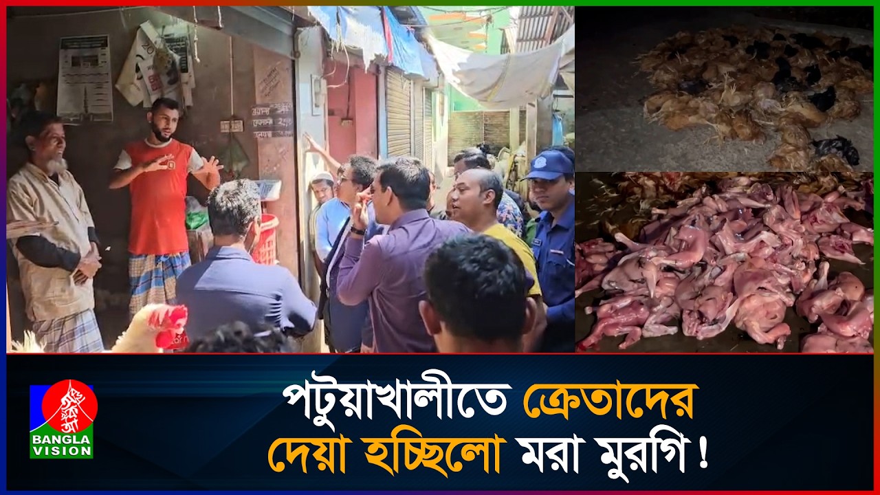 ম'রা মুরগি বিক্রি করায় একজনকে ৭ মাসের কারাদণ্ড! | Patuakhali | Banglavision News