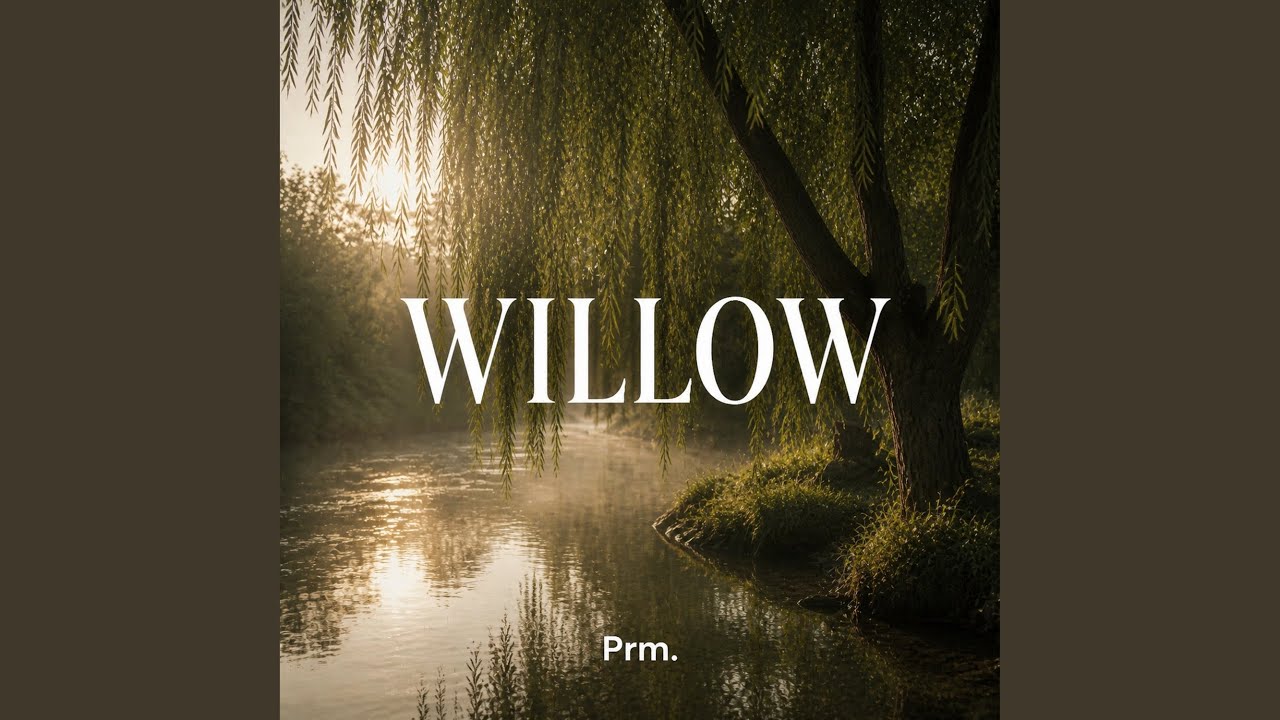 Willow adlı videoyu YouTube'da izle Willow adlı videoyu YouTube'da izle