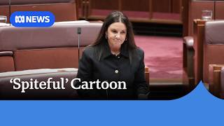 Jacqui Lambie slams 'nasty' One Nation cartoon mocking vaginal prolapse | ABC NEWS