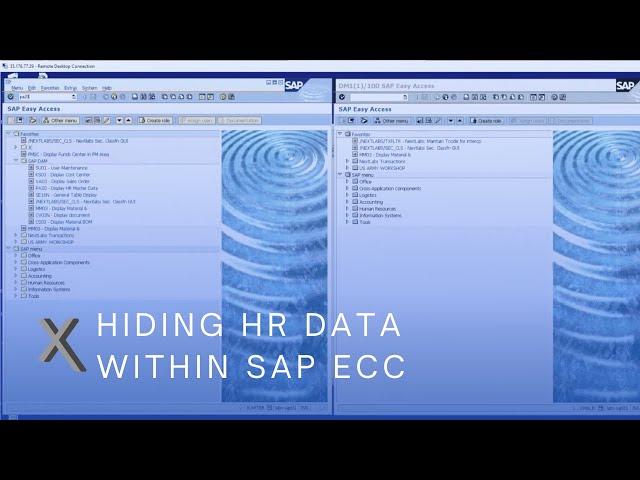 Hiding HR Data within SAP ECC - Fine Grain Authorization