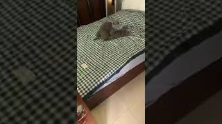 Kantoi Sedang Buat Maksiat