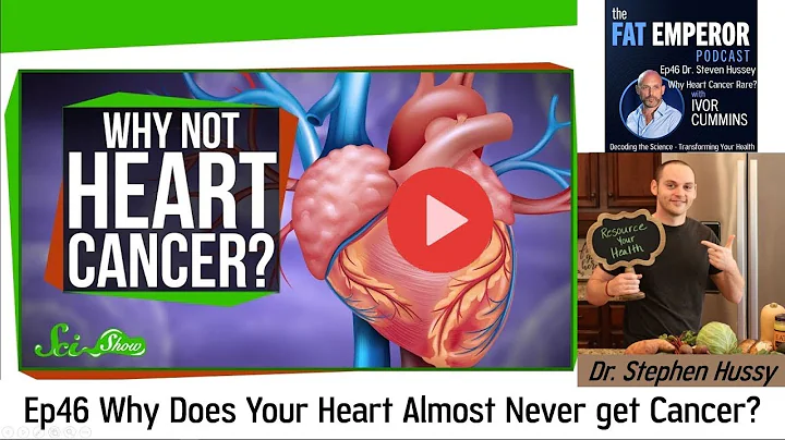 Ep46 Dr. Stephen Hussey on Why is Heart Cancer so Rare? Find out here!