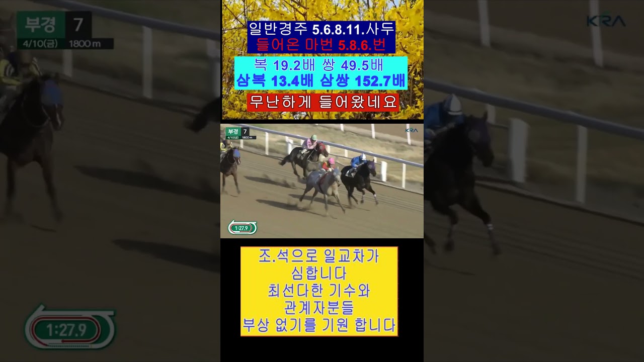 5소드윙 최시대 기수 멋진추입 우승을 축하 합니다