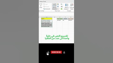 #text to #columns #excel #exceltricks #exceltips  تقسيم  النص في الاكسيل الي عدة خلايا