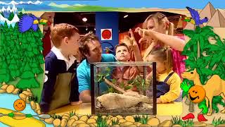 Hi 5: Wonderful Journeys