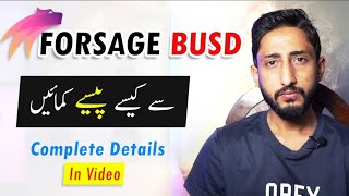 Forsage BUSD || Forsage Se Paise Kaise Kamaye || Forsage Busd Real or Scam screenshot 5