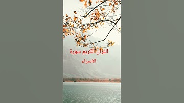 القرآن الكريم #اكسبلور #المصحف #حالات_واتس #تلاوات_رائعة #لايك