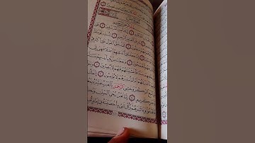 سورة ياسين القاريء عبدالرحمن
