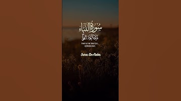 سورة النبإ | يَوْمَ يَقُومُ الرُّوحُ وَالْمَلَائِكَةُ صَفًّا ۖ...