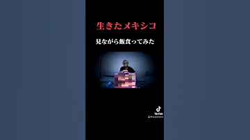 生きたメキシコ見ながら飯食ってみた 