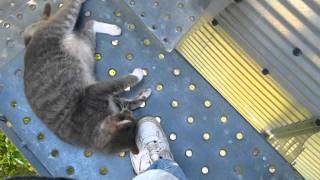 MVI_1395.AVI