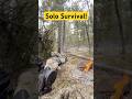 Full Video Is Out Btw Britishcolumbia Bushcraft Fyp Solocamping Solosurvival