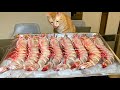How to cook huge shrimps!如何料理巨大蝦子！