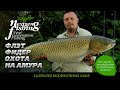 Flat Feeder охота на амура / Рыбалка нового поколения