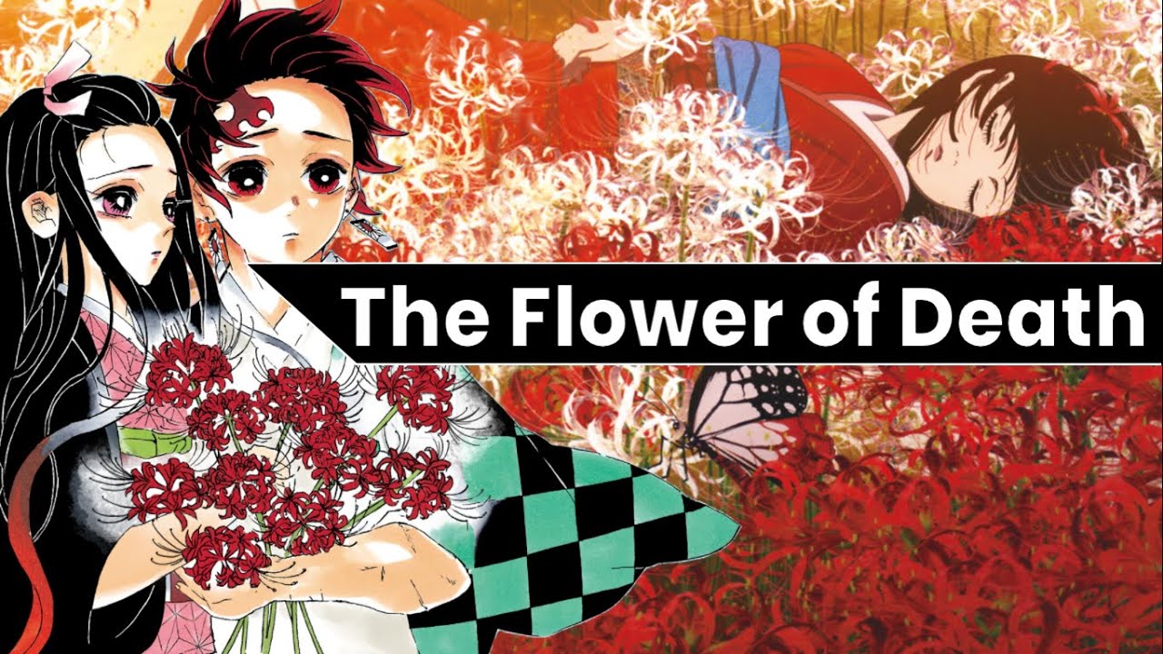 Red Spider Lily Meaning In Anime Explained