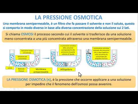 PROPRIETA&rsquo; COLLIGATIVE - La pressione Osmotica
