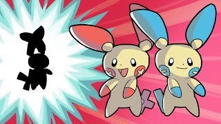 Plusle And Minun Evolve?!