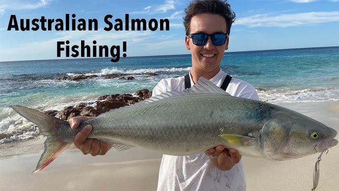 5 Must Have Lures for Australian Salmon 