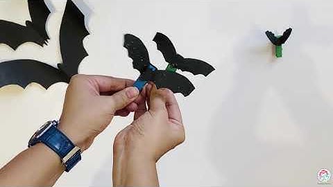 Flying Bats 🦇  | Homeschooling for Kids