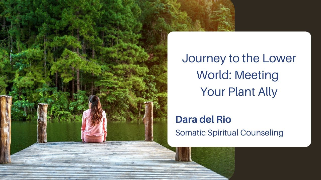 Meet Your Plant Ally: Guided Meditation