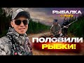 Половили рыбки! Удачная рыбалка! Живем в старом домике на берегу моря в Уссурийской тайге.