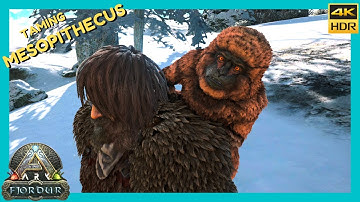 Ark - Fjordur : Tame Mesopithecus