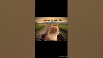 #سورة_فصلت #قرآن #محمد_صديق_المنشاوي #قران_بصوت_جميل #المنشاوي_الصوت_الباكى #المنشاوي