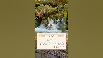 [سورة البقرة] »(153)