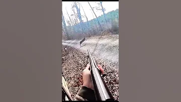 صيد الغزال وهو يجرى Hunting A Deer While It Is Running 
