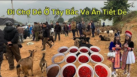 Lần Đầu Đi Chợ Dê Và Thưởng Thức Tiế t. Canh Dê Ở Chợ Vùng Cao | người vùng cao tv,