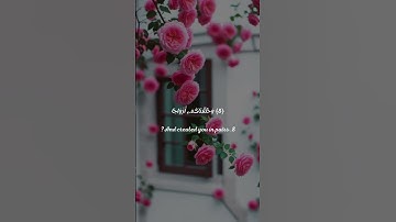 سورة النبأ آيه 7و8و9 #shortvideo #اكسبلور #تيك_توك #مصر #لايك #تخرج #اكسبلورر #surrah #حالات_واتس
